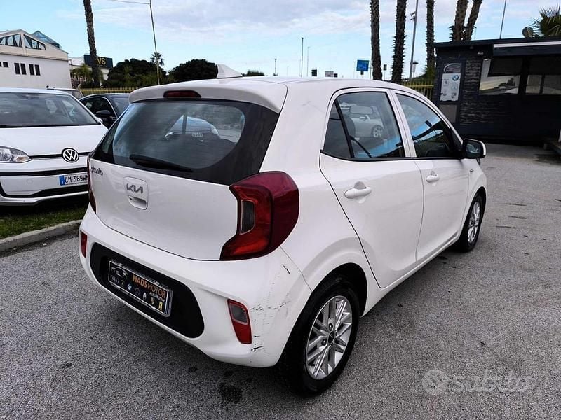Usata Kia Picanto Urban 67 CV (49 kW) 2023 Bianco Utilitaria
