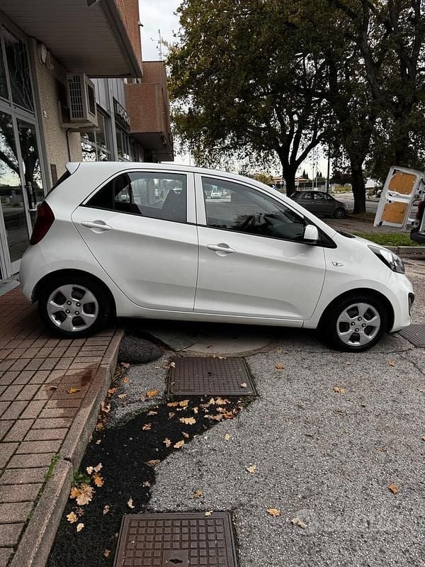 Usata Kia Picanto City 69 CV (50 kW) 2014 Bianco Utilitaria