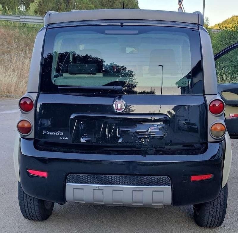 Usata Fiat Panda 4x4 Cross 69 CV (50 kW) 2008 Utilitaria