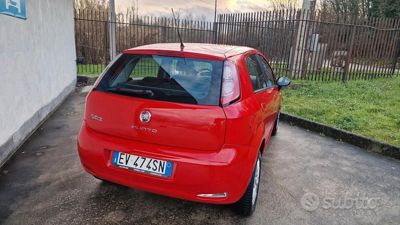 Usata Fiat Punto Lounge 78 CV (57 kW) 2014 Rosso Utilitaria