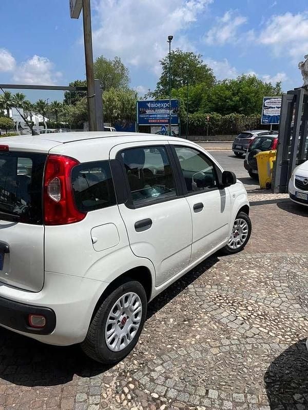 Usata Fiat Panda Easy 69 CV (50 kW) 2019 Bianco Utilitaria