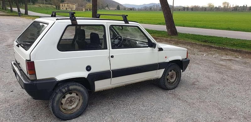 Usata Fiat Panda 4x4 54 CV (39 kW) 2001 Bianco Utilitaria