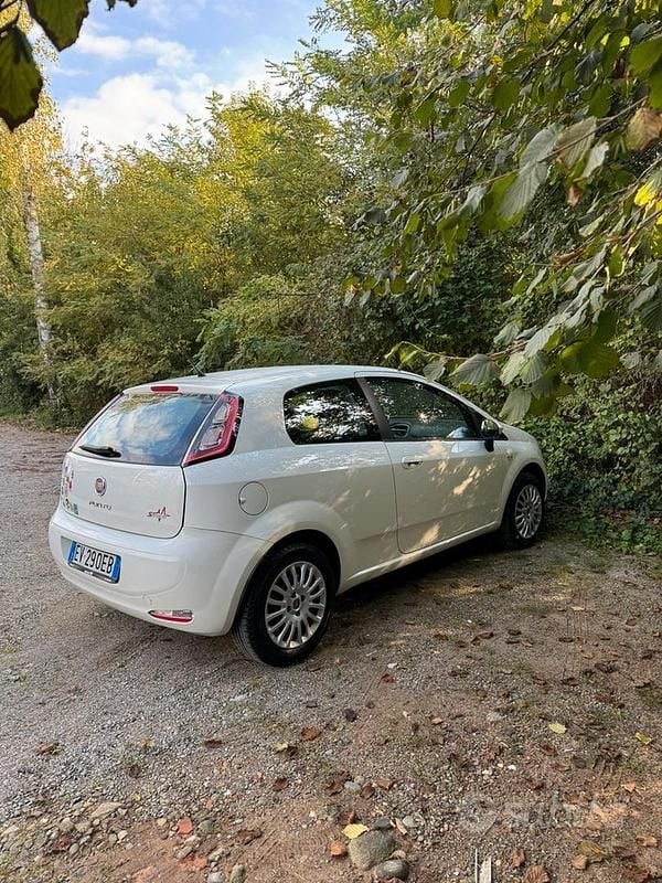 Usata Fiat Punto 69 CV (50 kW) 2014 Bianco Utilitaria
