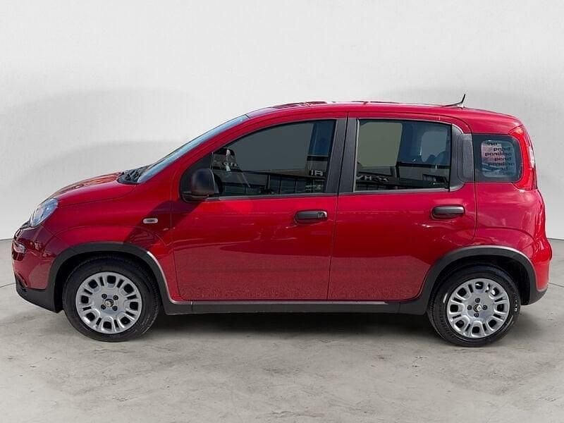 Usata Fiat Panda S 70 CV (51 kW) 2025 Utilitaria