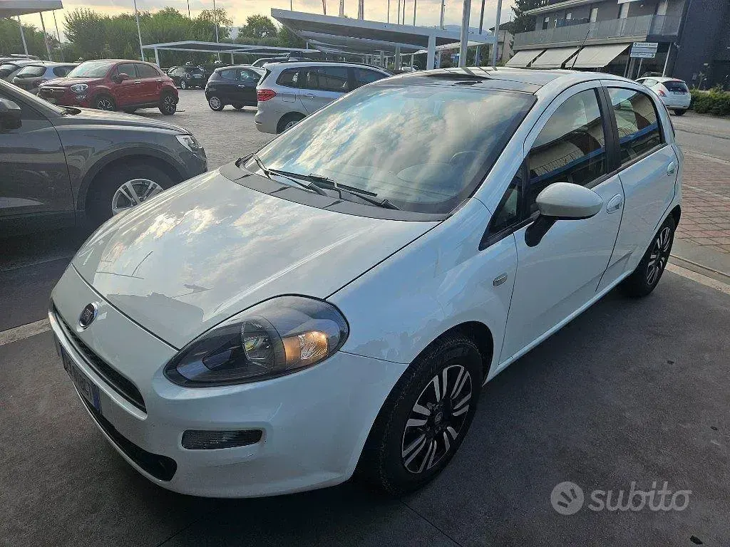Usata Fiat Punto Lounge 77 CV (56 kW) 2014 Bianco pastello Utilitaria