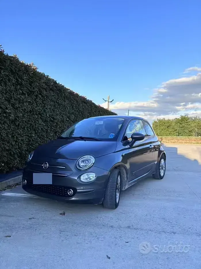 Usata Fiat 500 69 CV (50 kW) 2019 Grigio Berlina