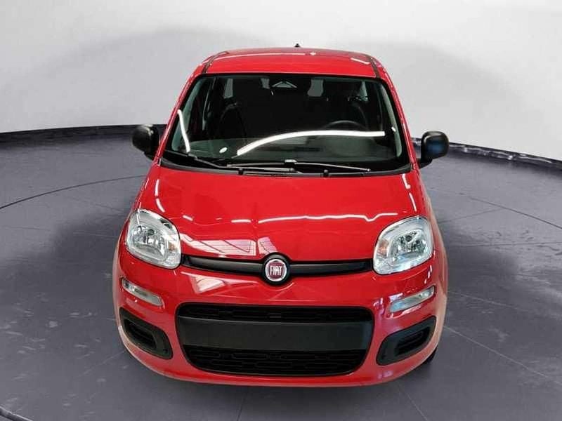 Nuova Fiat Panda 69 CV (50 kW) 2025 Rosso pastello Utilitaria
