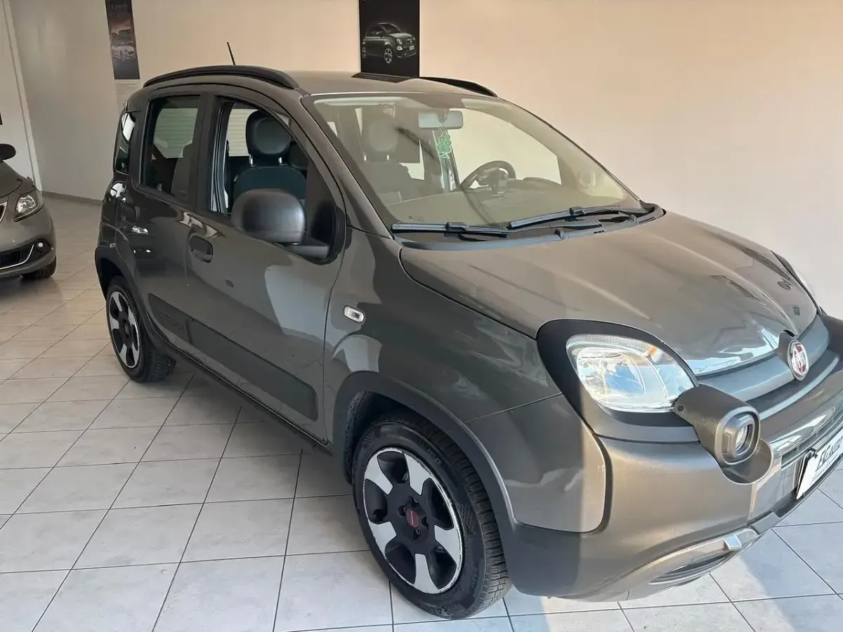 Usata Fiat Panda Cross Cross 69 CV (50 kW) 2020 Grigio Utilitaria