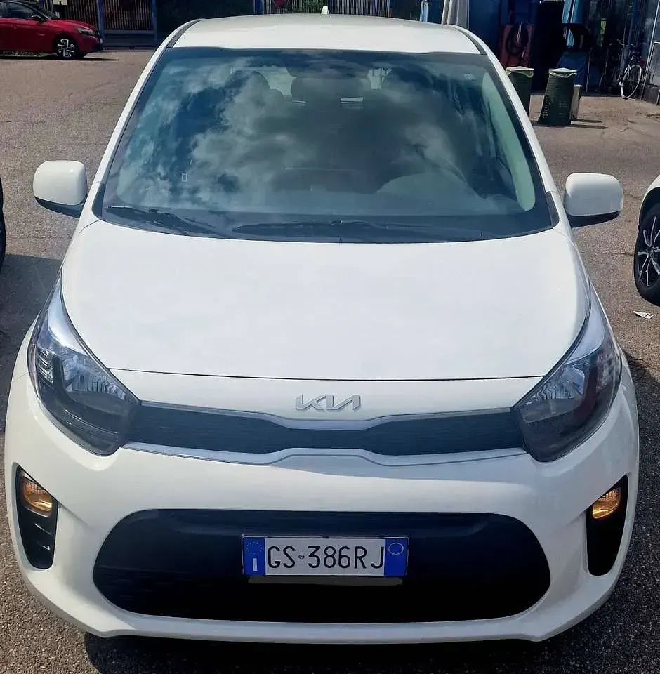 Usata Kia Picanto Urban 67 CV (49 kW) 2024 Bianchissima Utilitaria