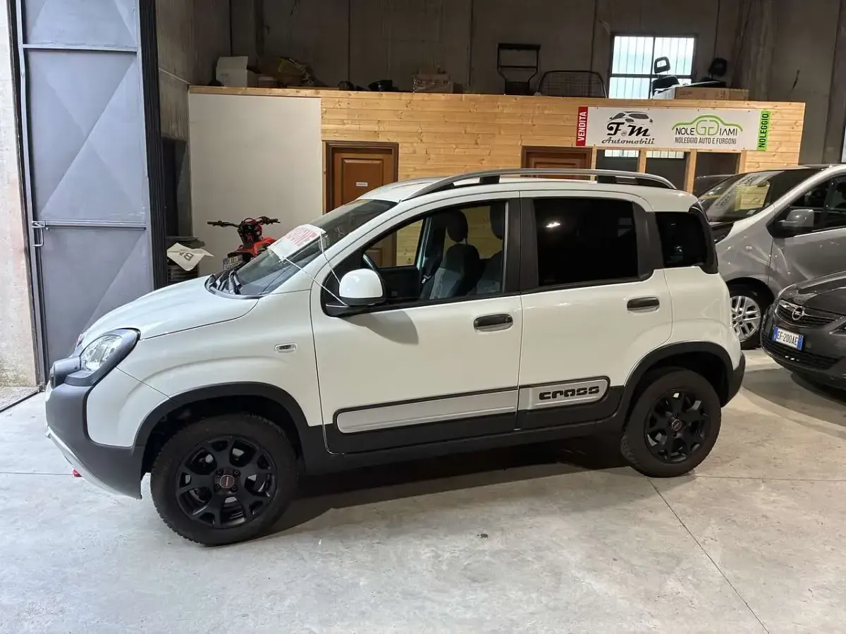 Usata Fiat Panda Cross Cross 86 CV (63 kW) 2019 Other Utilitaria