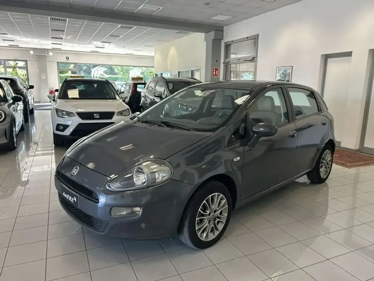 Usata Fiat Punto Lounge 69 CV (50 kW) 2013 Grigio Utilitaria