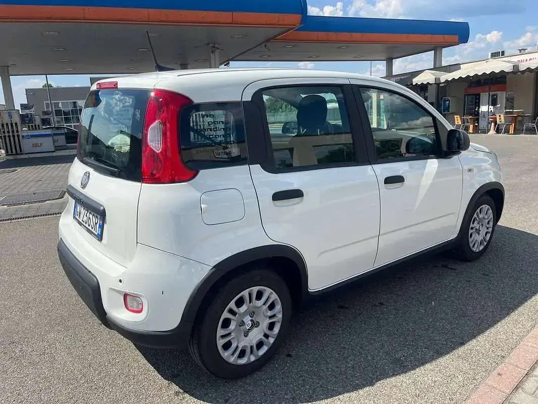 Usata Fiat Panda S 69 CV (50 kW) 2024 Bianco Utilitaria