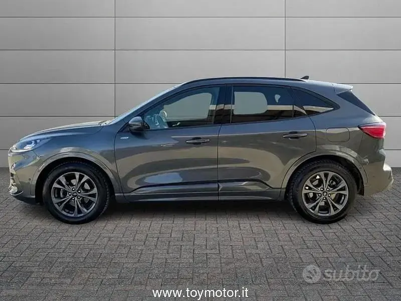 Usata Ford Kuga ST-Line X 120 CV (88 kW) 2023 Grigio SUV