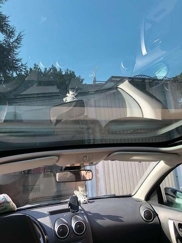 Usata Nissan Qashqai N-TEC 110 CV (80 kW) 2011 Grigio SUV