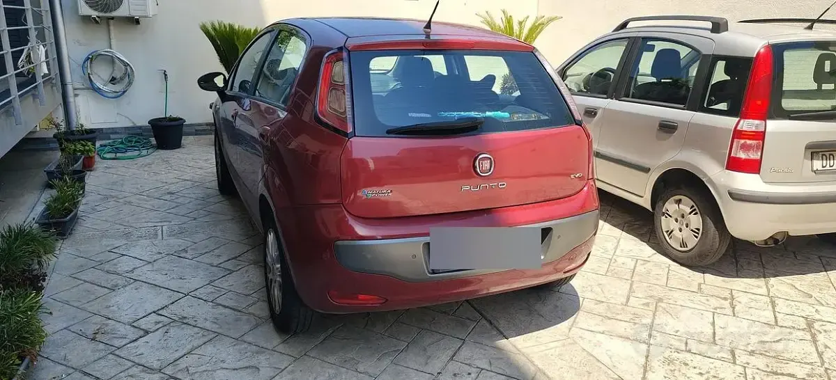 Usata Fiat Punto 77 CV (56 kW) 2010 Utilitaria