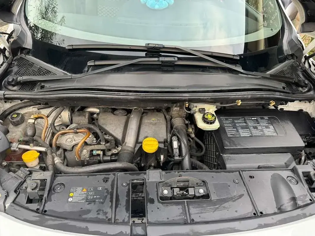 Usata Renault Scénic III Luxe 110 CV (80 kW) 2010 Monovolume