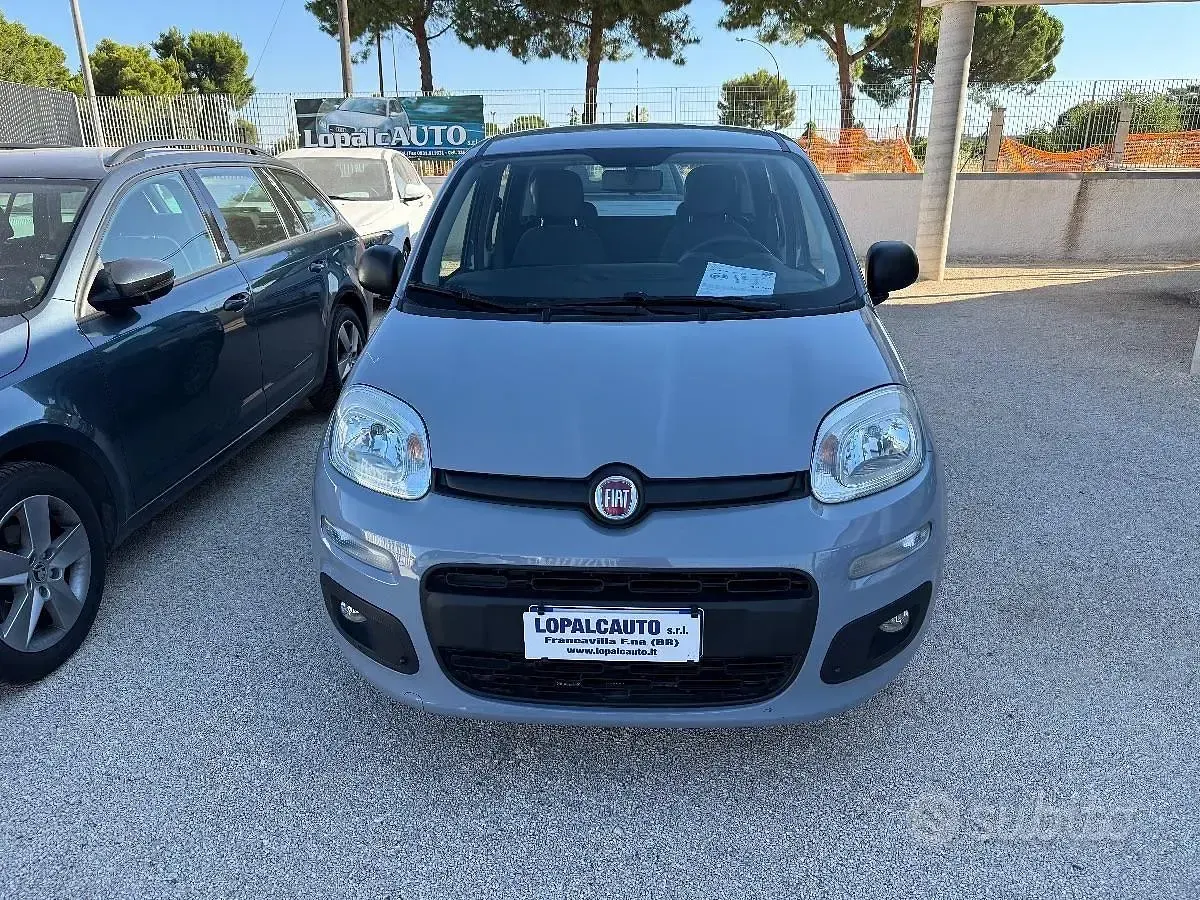 Usata Fiat Panda Easy 68 CV (50 kW) 2018 Grigio Utilitaria