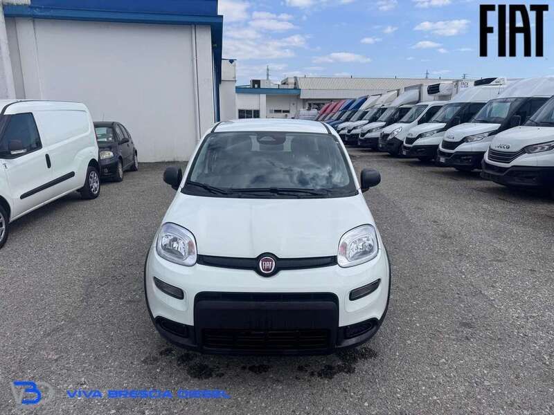 Usata Fiat Panda S 69 CV (50 kW) 2024 Bianco gelato Utilitaria