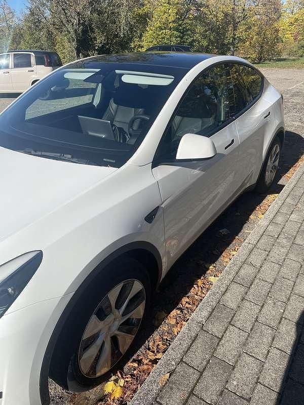 Usata Tesla Model Y RWD 88 kW (120 CV) 2024 SUV