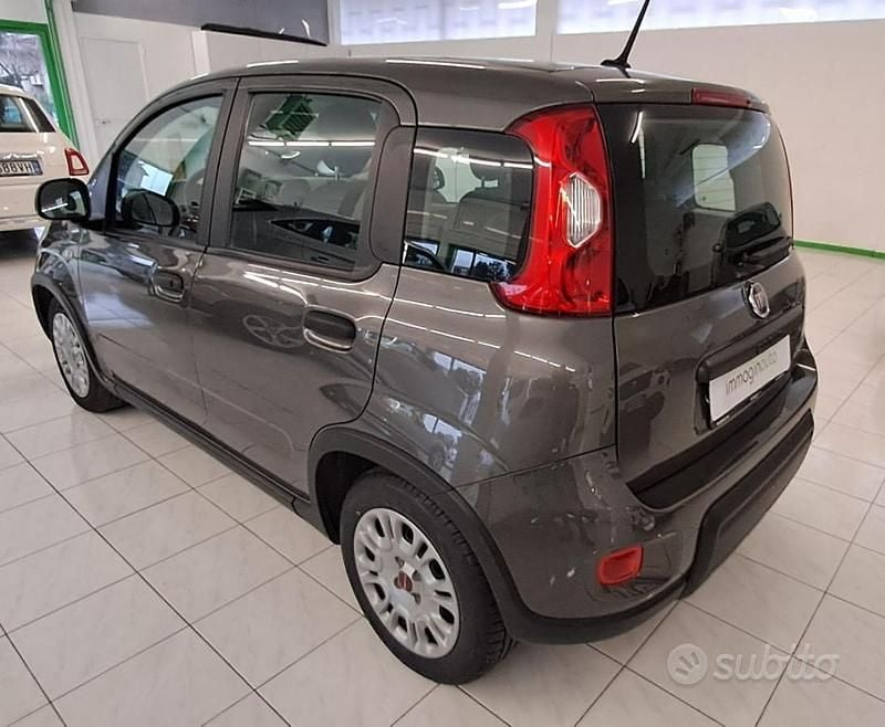 Usata Fiat Panda S 69 CV (50 kW) 2023 Grigio Utilitaria