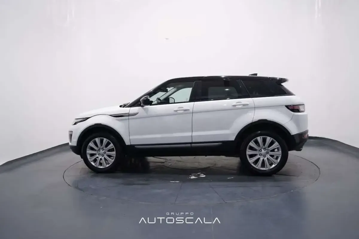 Usata Land Rover Range Rover evoque Pure 150 CV (110 kW) 2017 Fujii white / tetto nero SUV