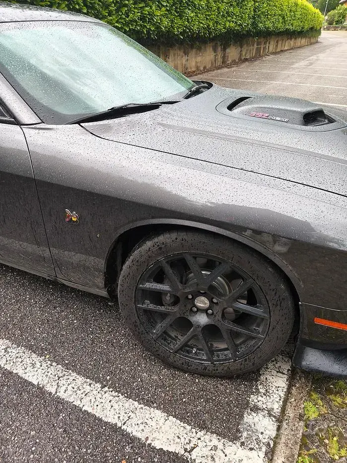 Usata Dodge Challenger 2015 Coupé