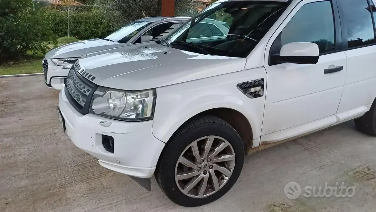 Usata Land Rover Freelander 2 190 CV (139 kW) 2011 Bianco SUV