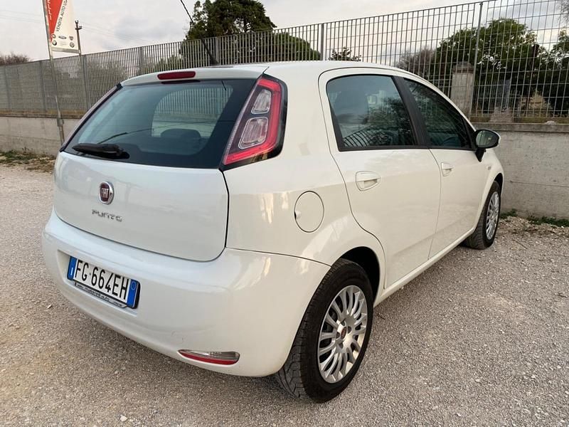 Usata Fiat Punto Lounge 85 CV (62 kW) 2014 Bianco Berlina