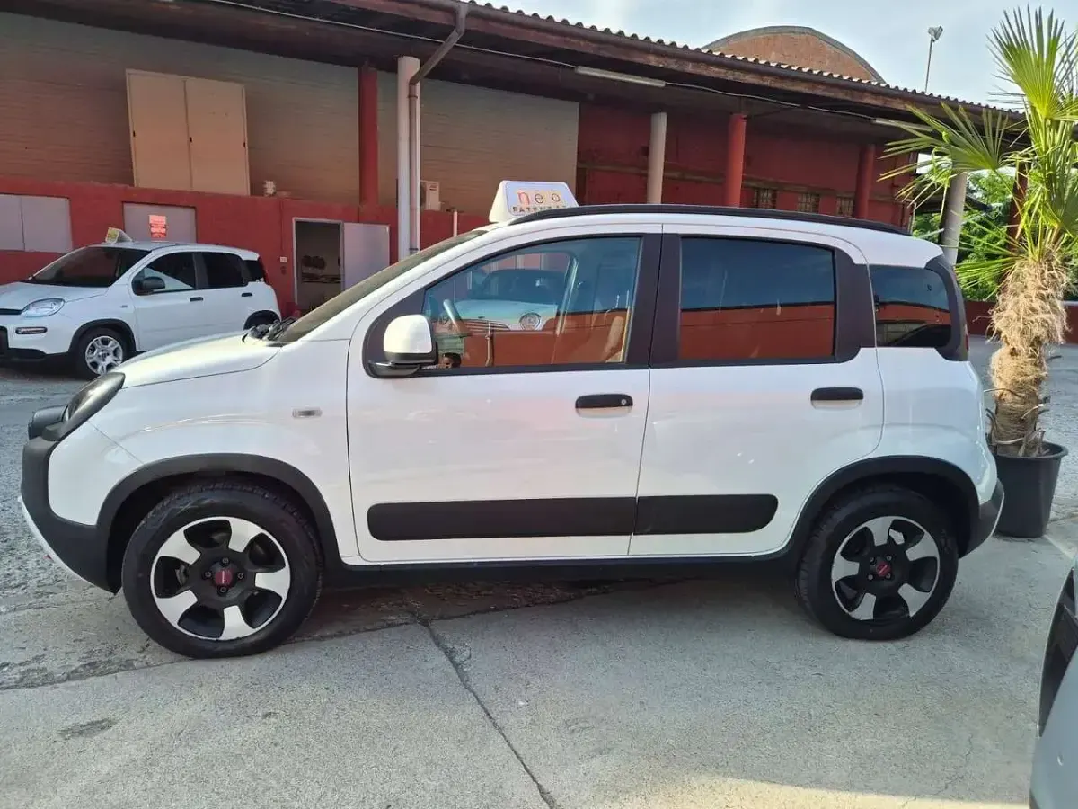 Usata Fiat Panda Cross Cross 69 CV (50 kW) 2024 Bianco Utilitaria