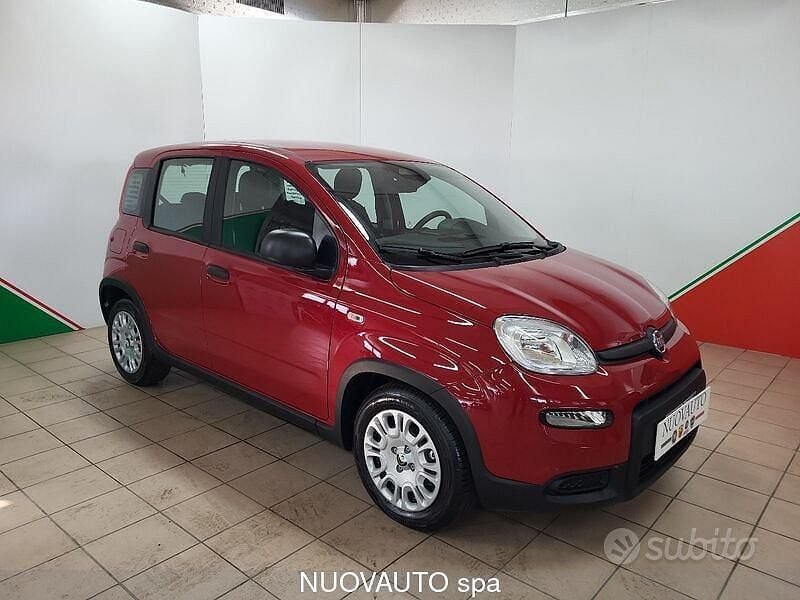 Usata Fiat Panda S 70 CV (51 kW) 2024 Rosso Utilitaria