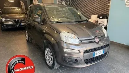 Usata Fiat Panda Easy 70 CV (51 kW) 2019 Grigio Utilitaria