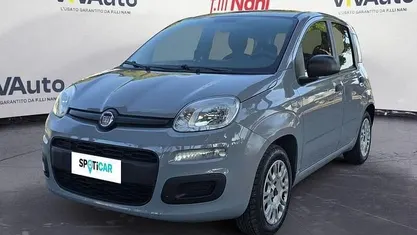 Usata Fiat Panda Pop 69 CV (50 kW) 2019 Grigio Utilitaria