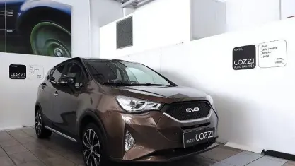 Usata EVO Evo 4 114 CV (83 kW) 2021 Bronzo SUV