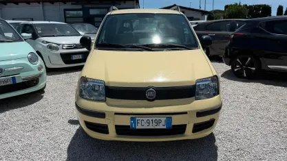Usata Fiat Panda Dynamic 69 CV (50 kW) 2011 Giallo Utilitaria