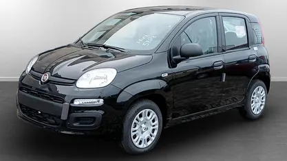 Usata Fiat Panda Icon 69 CV (50 kW) 2025 Utilitaria