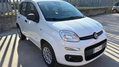 Usata Fiat Panda Easy 80 CV (58 kW) 2018 Utilitaria