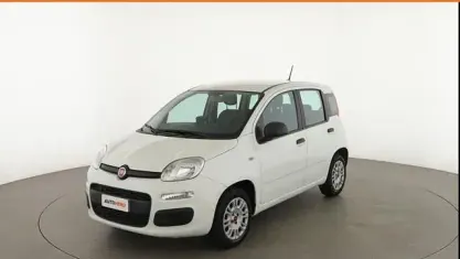 Usata Fiat Panda Easy 70 CV (51 kW) 2020 Bianco Utilitaria