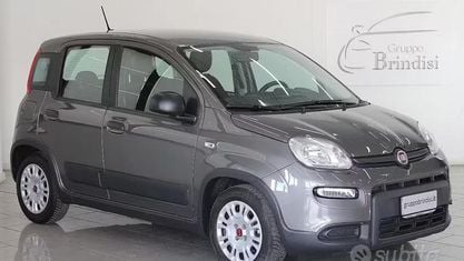 Usata Fiat Panda S 70 CV (51 kW) 2023 Grigio Utilitaria