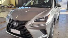 Grigio Usata 2020 Lexus NX300h Executive Line SUV | 27.400 € (Buon prezzo)