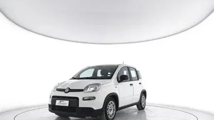 Usata Fiat Panda S 69 CV (50 kW) 2023 Bianco Utilitaria