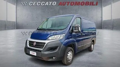 Usata Fiat Ducato 116 CV (85 kW) 2019 Furgone
