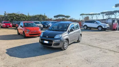 Usata Fiat Panda 69 CV (50 kW) 2018 Grigio Utilitaria