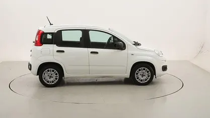 Usata Fiat Panda Easy 69 CV (50 kW) 2020 Utilitaria