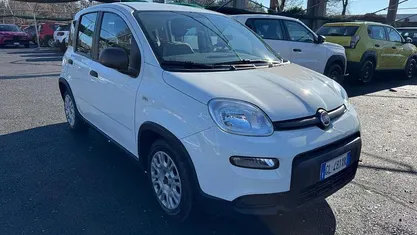 Usata Fiat Panda City Life 70 CV (51 kW) 2023 Bianco Utilitaria