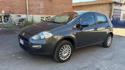 Usata Fiat Punto Lounge 70 CV (51 kW) 2016 Grigio Utilitaria