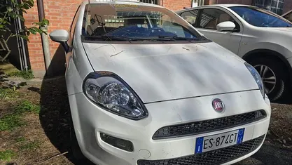 Usata Fiat Punto Lounge 75 CV (55 kW) 2014 Bianco Utilitaria