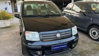 Usata Fiat Panda 60 CV (44 kW) 2009 Utilitaria