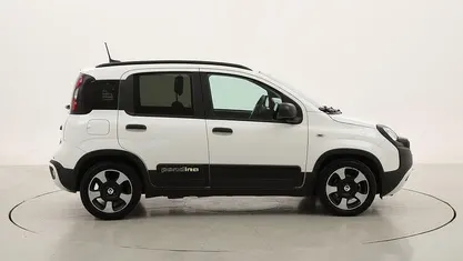 Usata Fiat Panda Cross Cross 70 CV (51 kW) 2025 Utilitaria