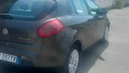 Usata Fiat Bravo Dynamic 120 CV (88 kW) 2008 Marrone Utilitaria