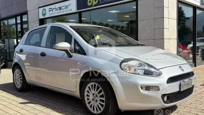 Usata Fiat Punto Lounge 69 CV (50 kW) 2016 Grigio Utilitaria